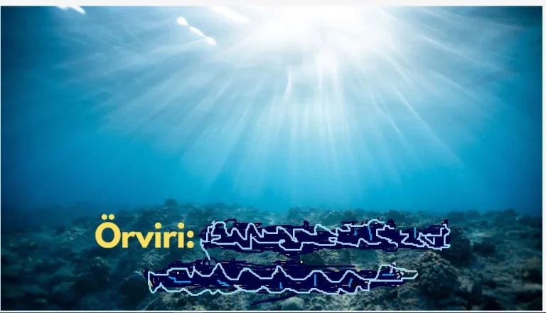 What Is örviri? – All You Need To Know In 2023